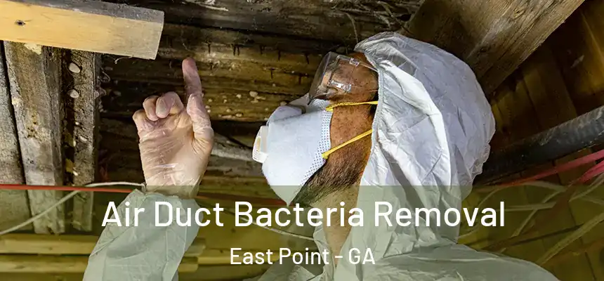  Air Duct Bacteria Removal East Point - GA
