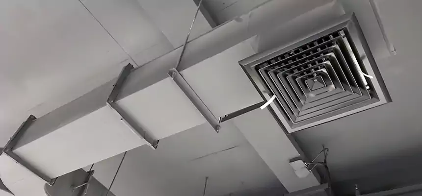 Restorative Allergy Relief Vent Cleaning – Coil, Blower & Housing Detail in East Point