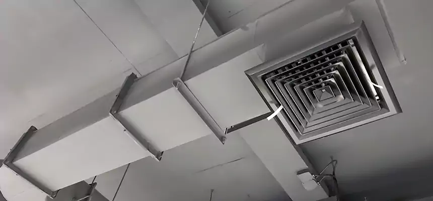 Our Pest Removal From Ducts Services in East Point, GA