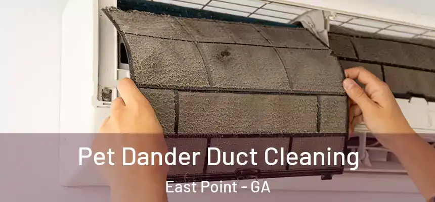 Pet Dander Duct Cleaning East Point - GA
