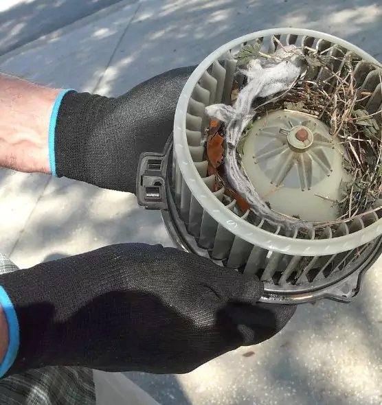 About Air Duct Mice Removal in East Point, GA